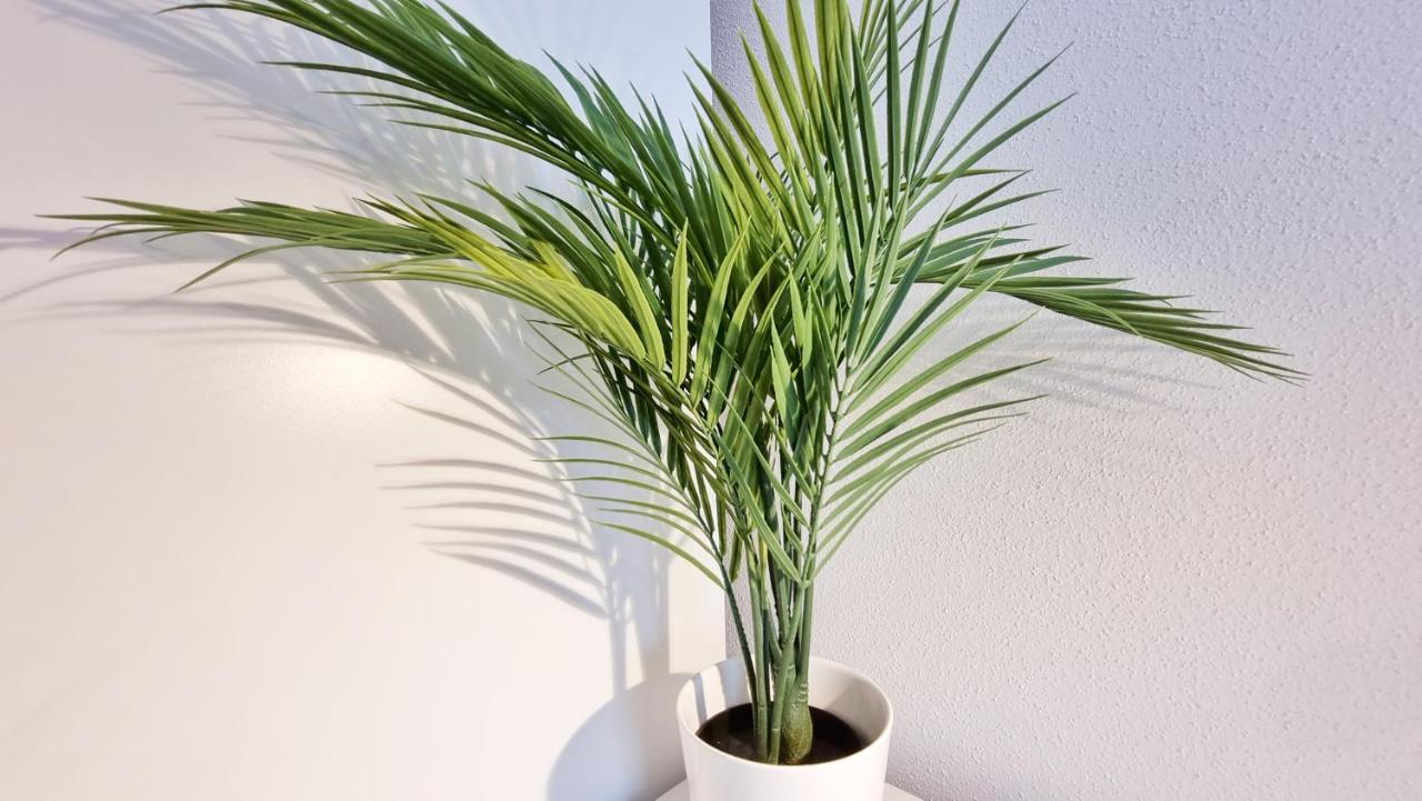 Chez Jm - Calme - Chic - Fibre - Relax Bnb Mulhouse Buitenkant foto